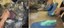 52ea2753-9ae8-4be7-bce6-5fc5428f8fca.jpeg