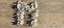 Abschieds_Symposium-590x260.jpg