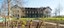 ca_fruehling-590x260.jpg
