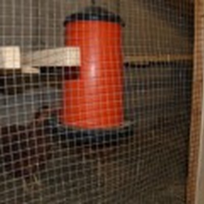 ca_huennerstall2-170x120.jpg