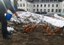 ca_huennerstall7-170x120.jpg