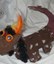 DSCF5683-170x200.jpg