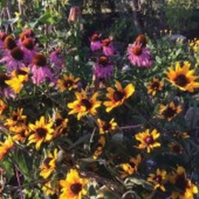 Garten3-170x200.jpg