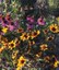 Garten3-170x200.jpg