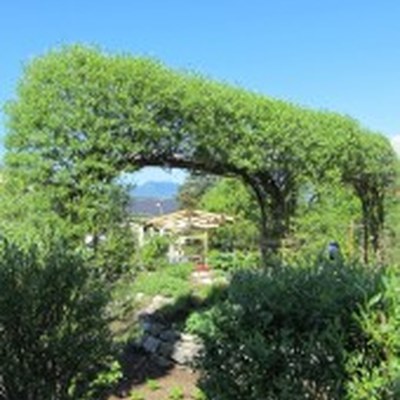 Garten5-170x200.jpg