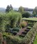 Garten9-170x200.jpg