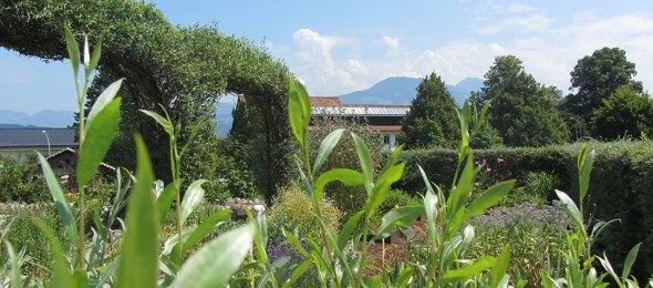 KH-Patientengarten-590x260.jpg
