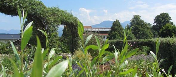 KH-Patientengarten-590x260.jpg