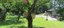 Krankenhaus-Garten-590x260.jpg