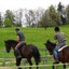 Reitpaedagogik10-170x170.jpg