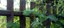 Symbolbild1-590x260.jpg