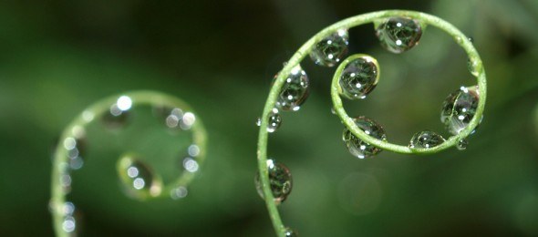 traurig-590x260.jpg
